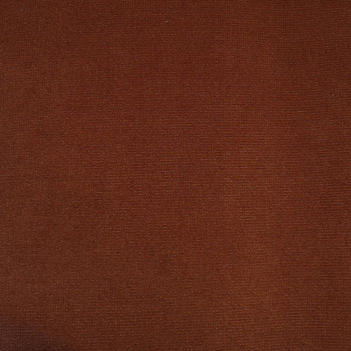Villandry fabric in rust color - pattern AM100325.212.0 - by Kravet Couture in the Andrew Martin Villandry Velvet collection