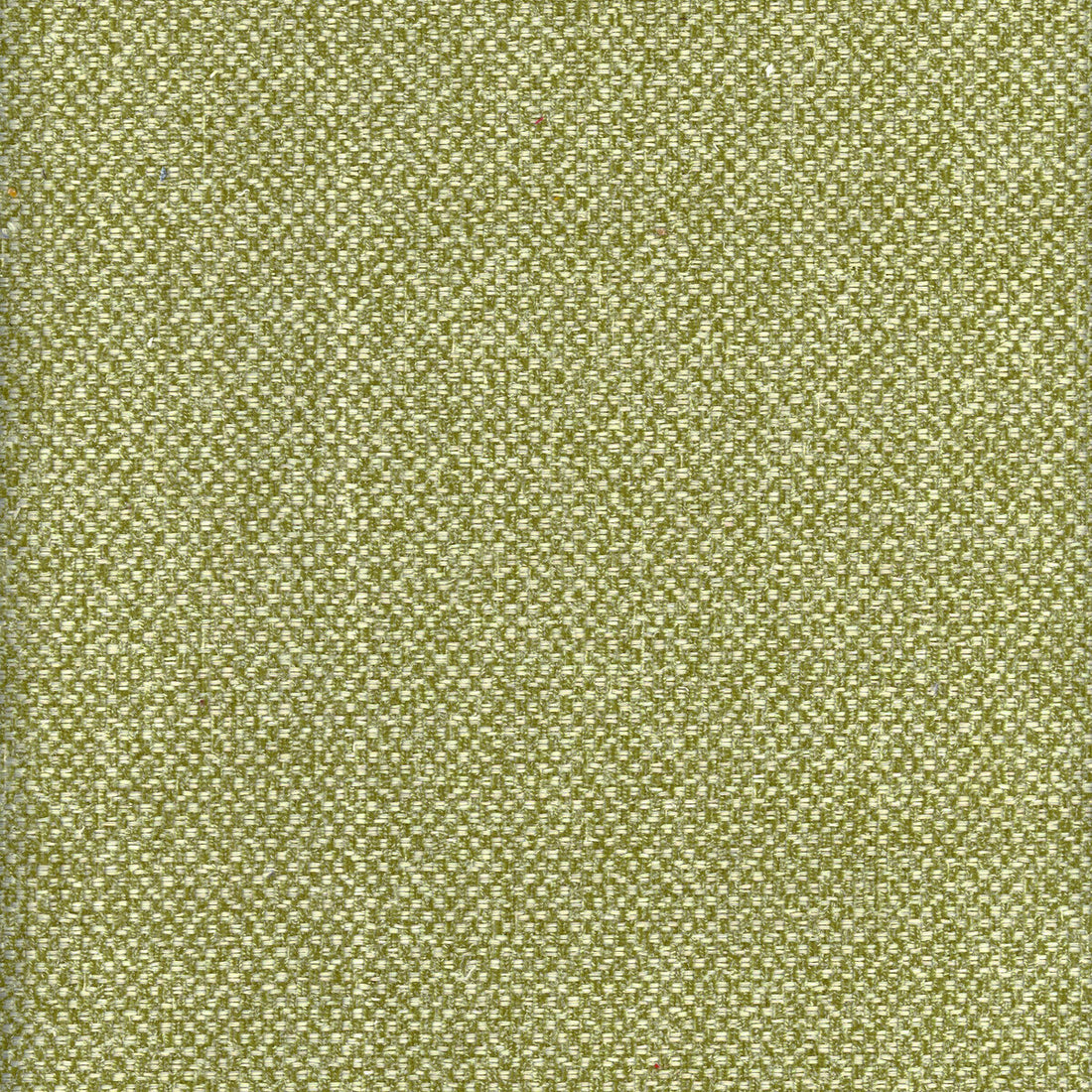 Yosemite fabric in meadow color - pattern AM100332.3.0 - by Kravet Couture in the Andrew Martin Canyon collection