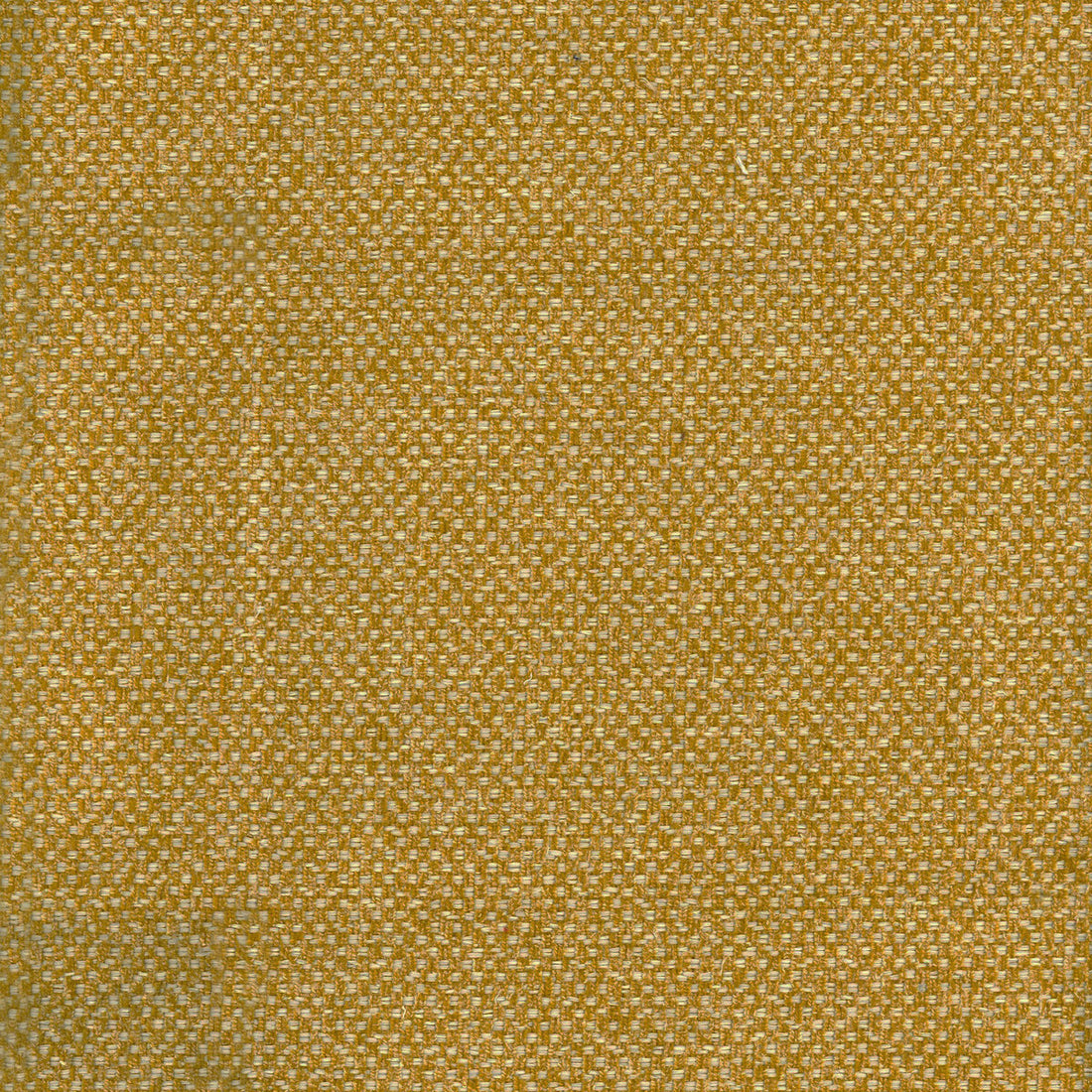 Yosemite fabric in eagle color - pattern AM100332.4.0 - by Kravet Couture in the Andrew Martin Canyon collection