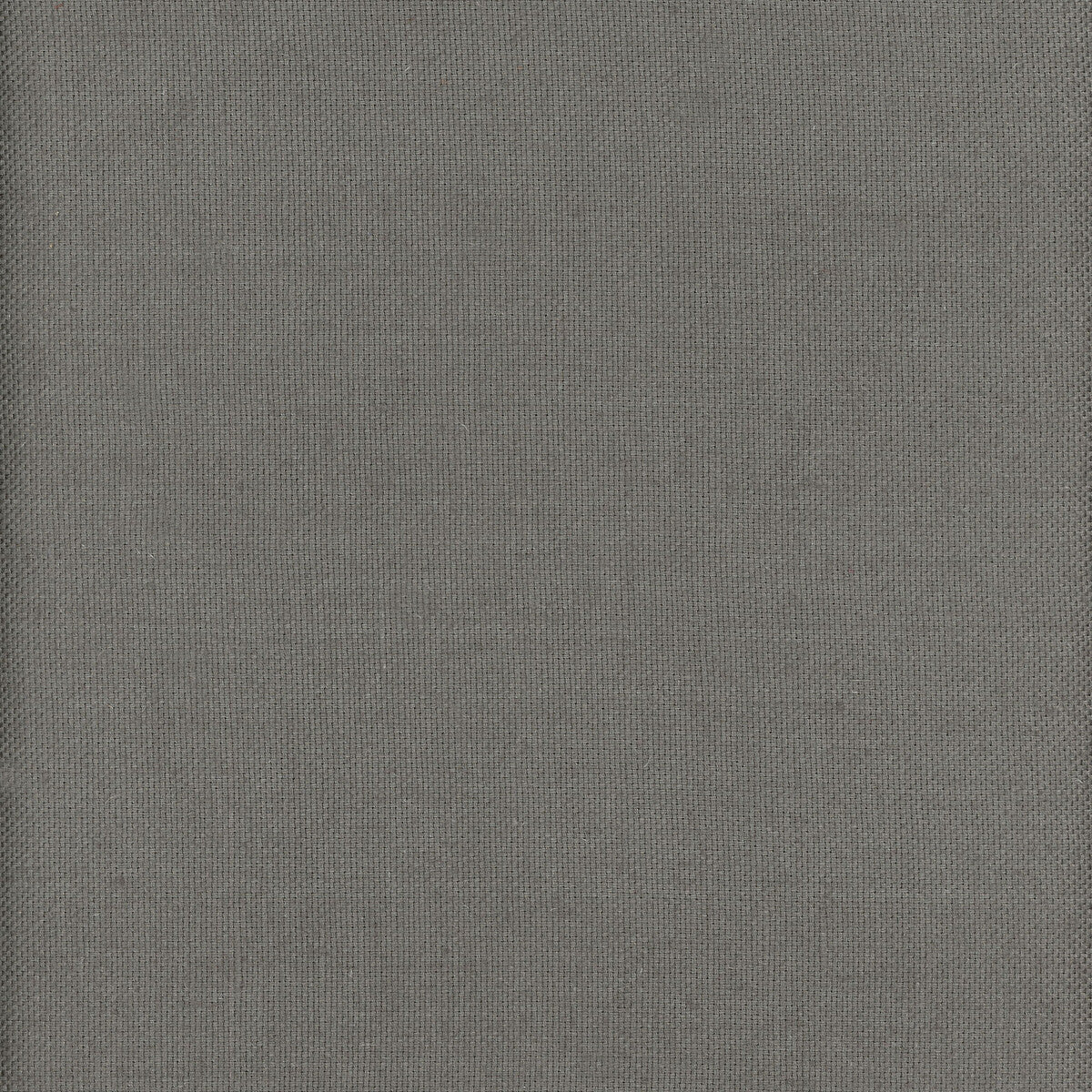 Beagle fabric in turtle color - pattern AM100346.21.0 - by Kravet Couture in the Andrew Martin Beagle collection