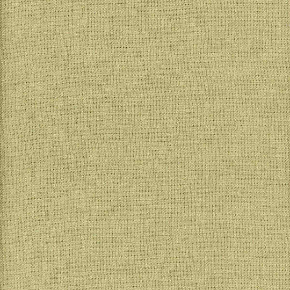 Beagle fabric in firefly color - pattern AM100346.3.0 - by Kravet Couture in the Andrew Martin Beagle collection