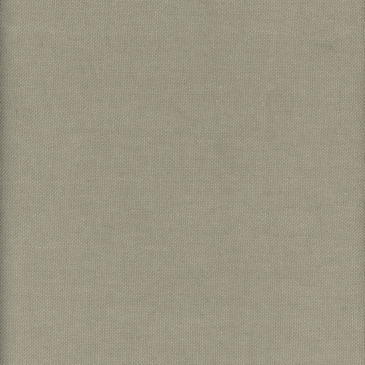 Beagle fabric in grasscloth color - pattern AM100346.316.0 - by Kravet Couture in the Andrew Martin Beagle collection