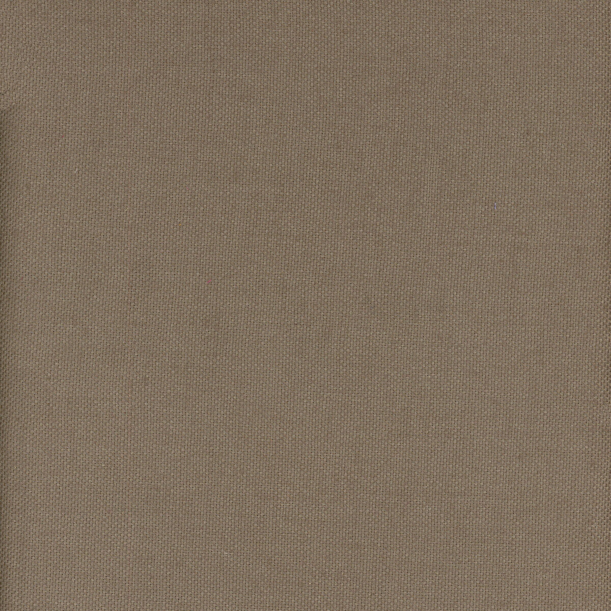 Beagle fabric in pampas color - pattern AM100346.6.0 - by Kravet Couture in the Andrew Martin Beagle collection