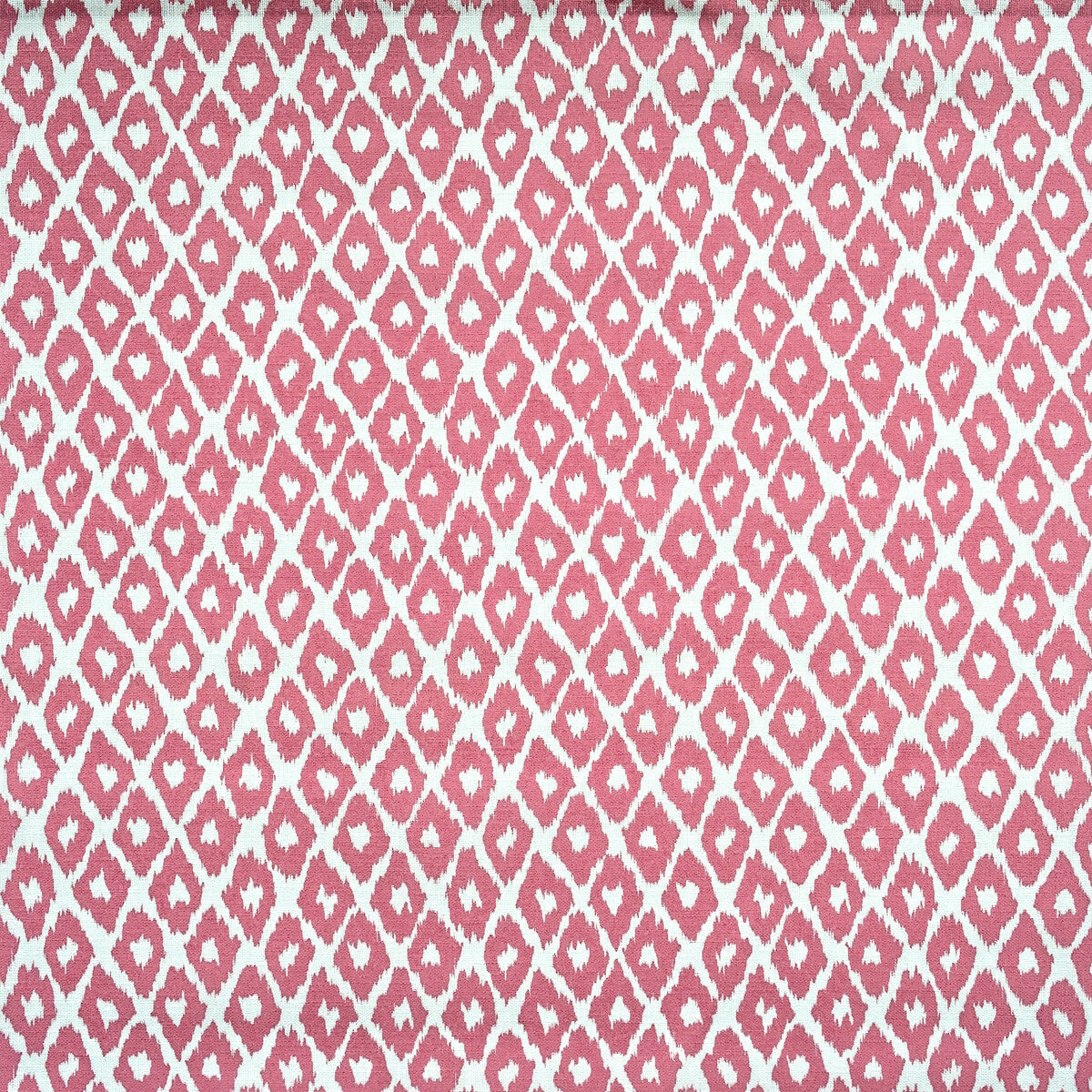 Gypsum Outdoor fabric in tropic color - pattern AM100349.17.0 - by Kravet Couture in the Andrew Martin The Great Outdoors collection