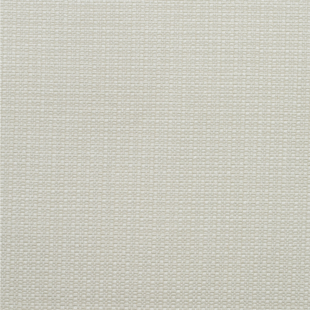Birch fabric in chalk color - pattern AM100390.1.0 - by Kravet Couture in the Andrew Martin Woodland By Sophie Paterson collection