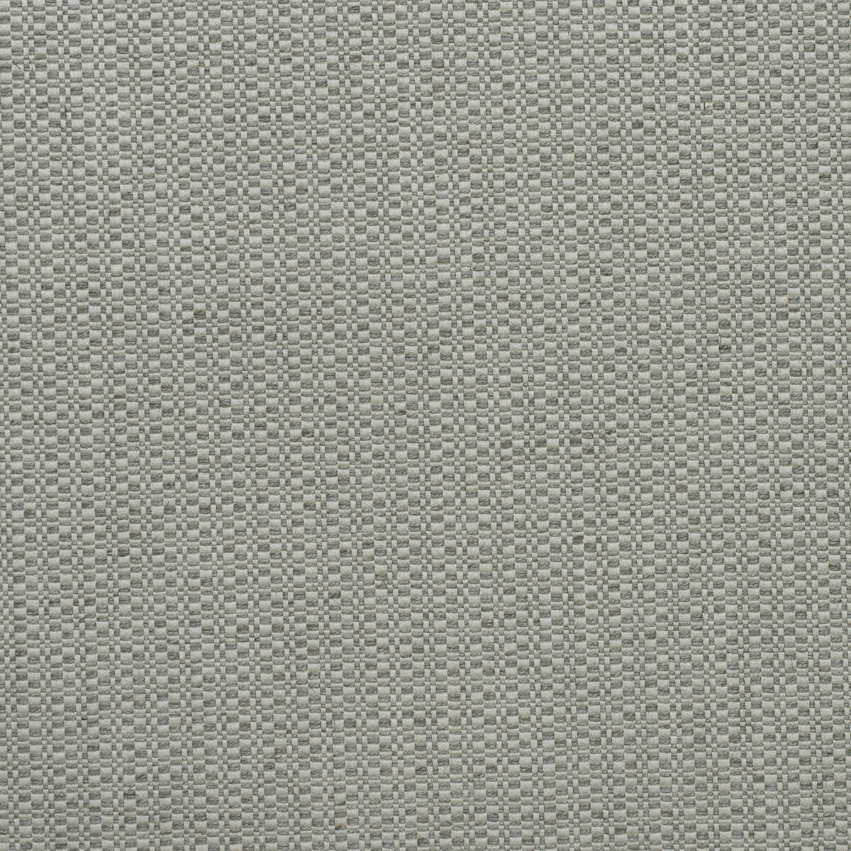 Birch fabric in fog color - pattern AM100390.11.0 - by Kravet Couture in the Andrew Martin Woodland By Sophie Paterson collection