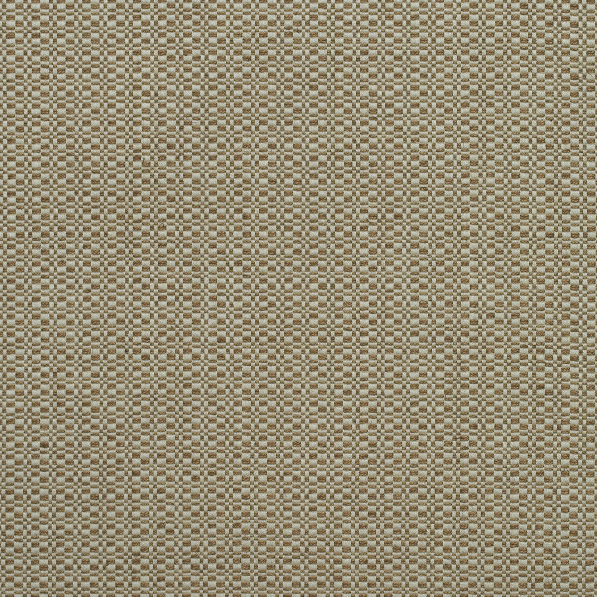 Birch fabric in autumn color - pattern AM100390.624.0 - by Kravet Couture in the Andrew Martin Woodland By Sophie Paterson collection