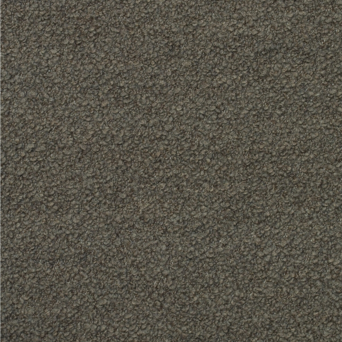 Fleece fabric in truffle color - pattern AM100394.166.0 - by Kravet Couture in the Andrew Martin Woodland By Sophie Paterson collection