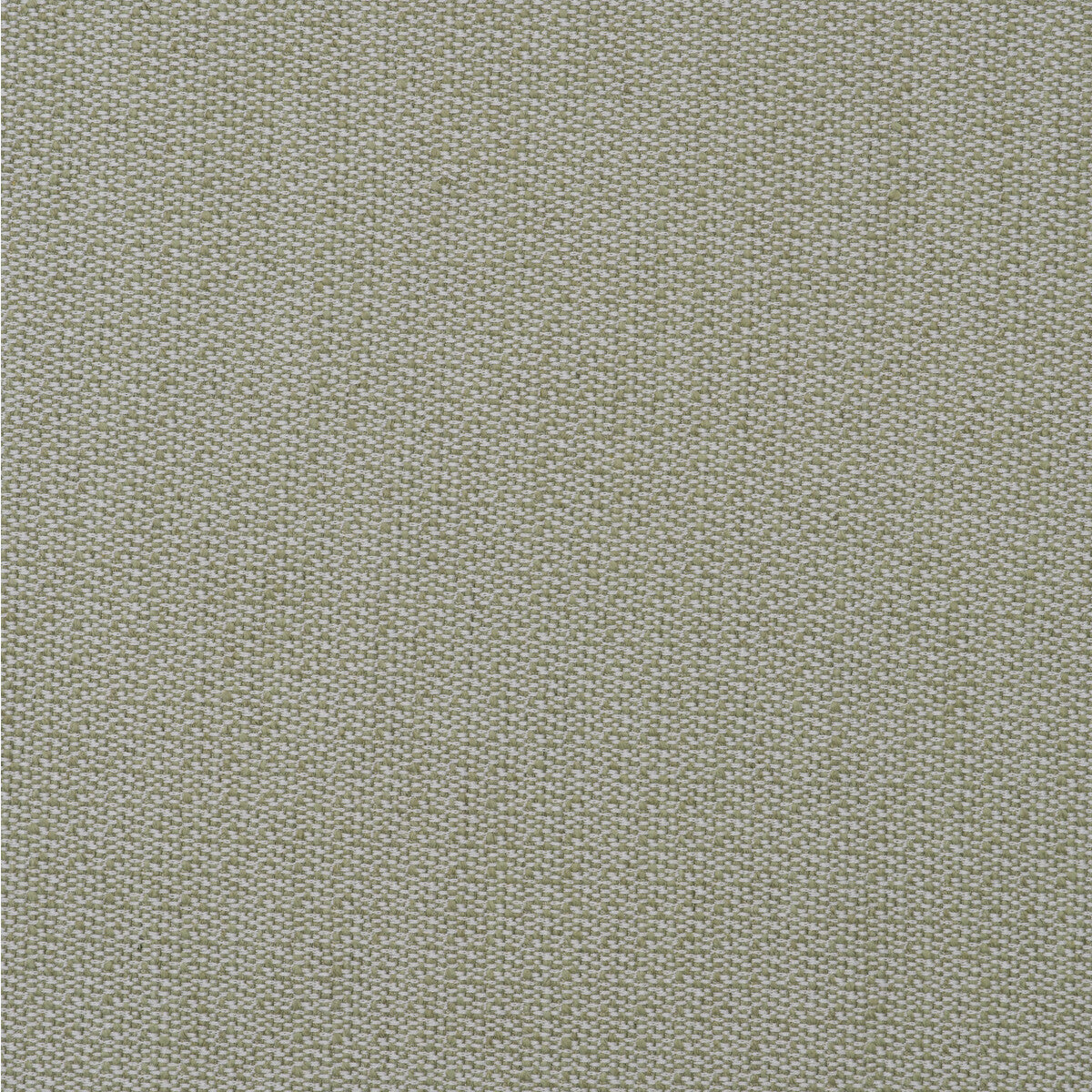 Ravello fabric in leaf color - pattern AM100431.3.0 - by Kravet Couture in the Andrew Martin Amalfi collection