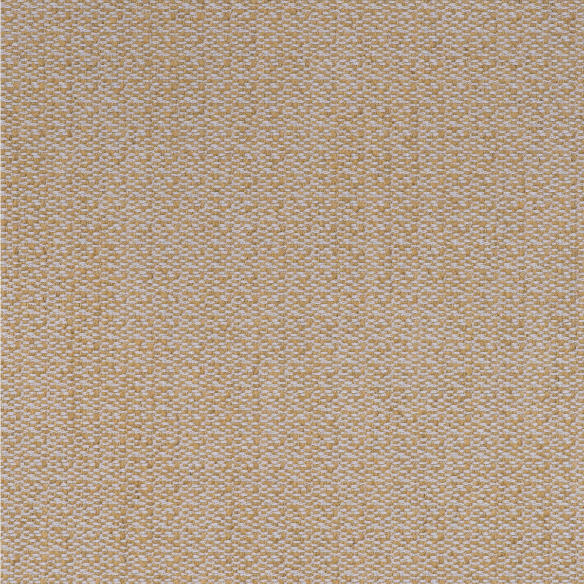 Ravello fabric in lemon color - pattern AM100431.40.0 - by Kravet Couture in the Andrew Martin Amalfi collection