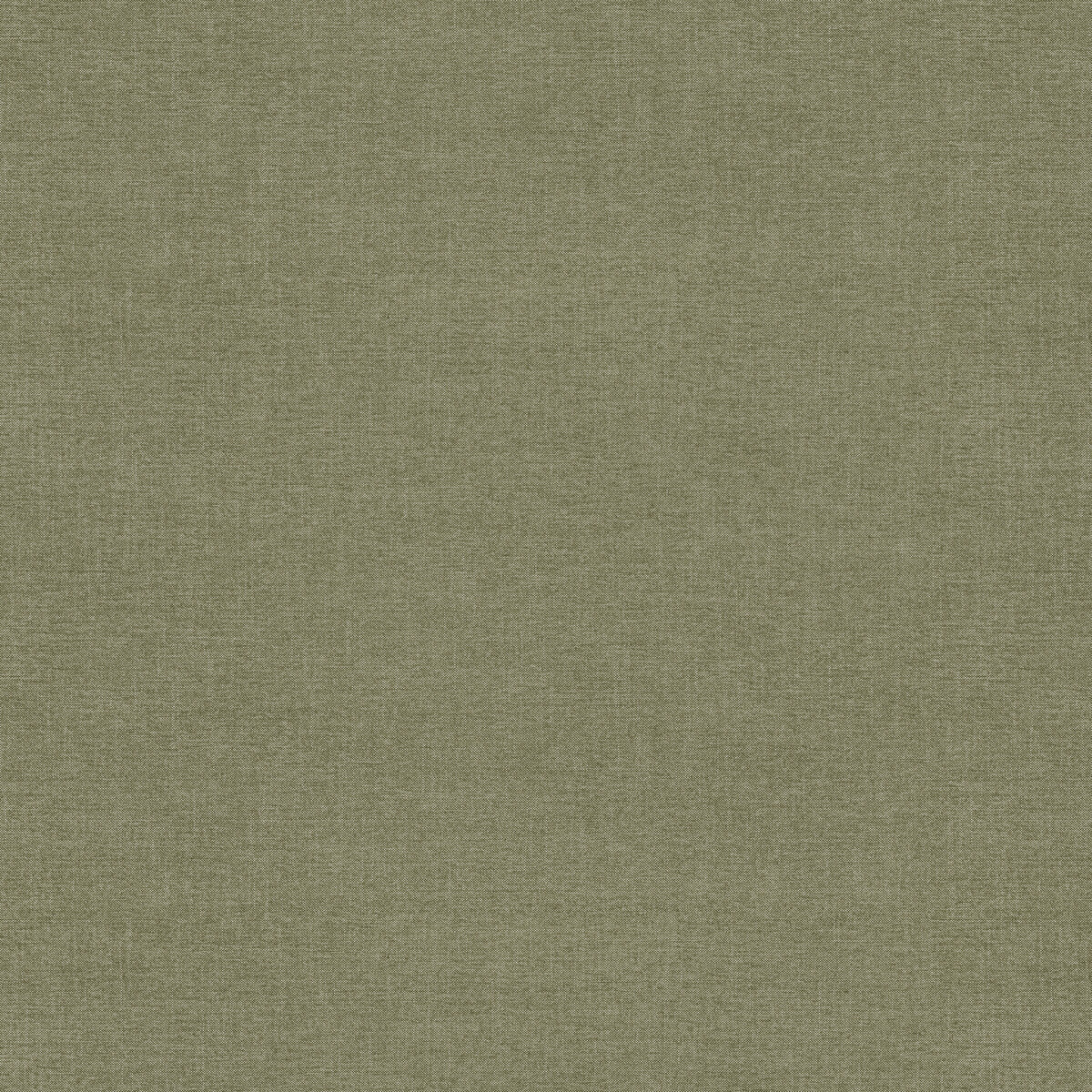 Walton fabric in moss color - pattern number AM100432.30.0 - by Kravet Couture in the Andrew Martin Amalfi collection