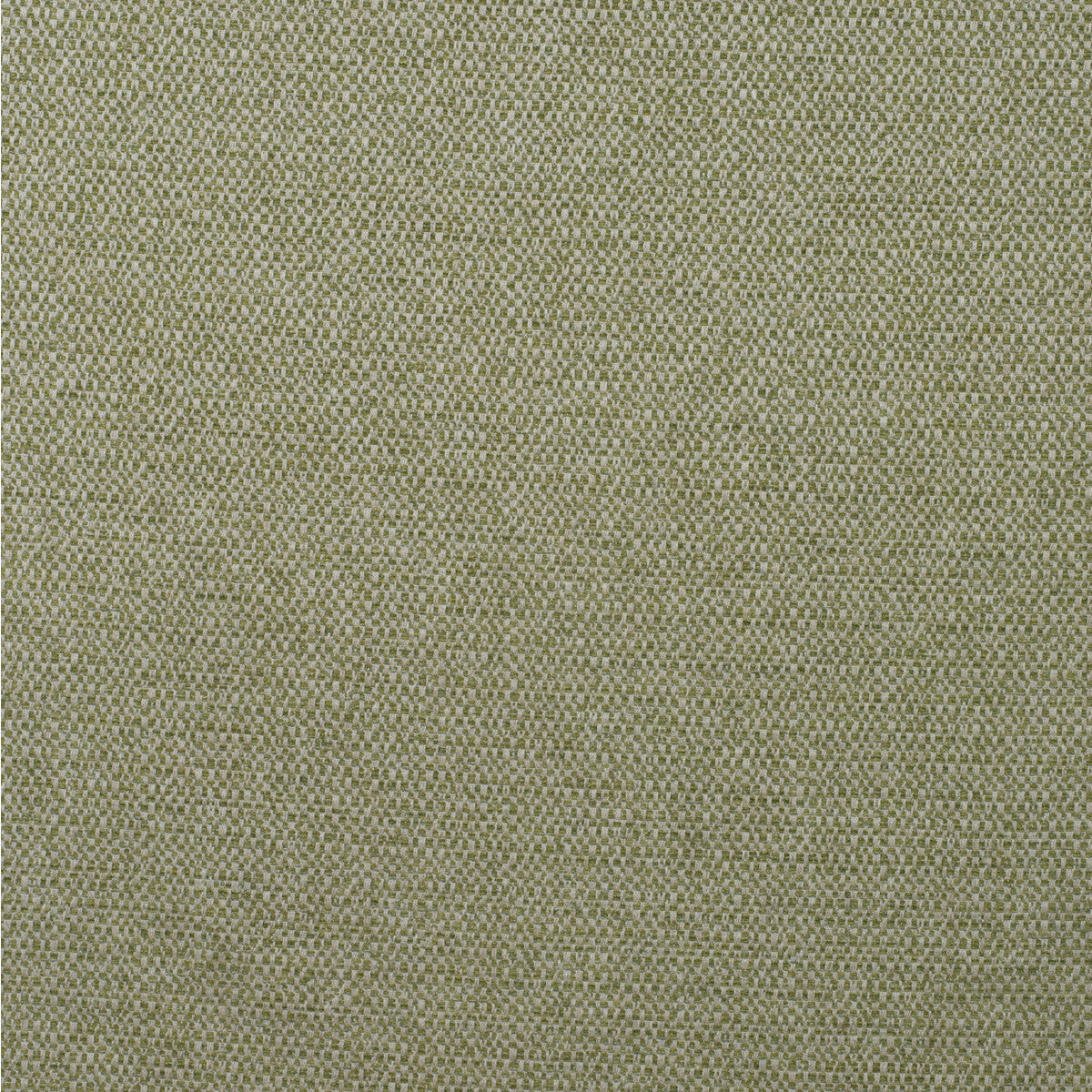 Jetty fabric in reed color - pattern number AM100438.316.0 - by Kravet Couture in the Andrew Martin Boathouse collection