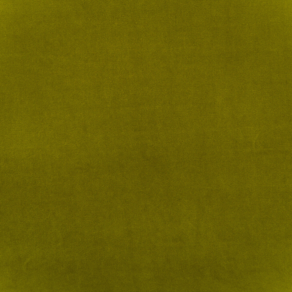 Medici fabric in pear color - pattern number AM100443.314.0 - by Kravet Couture in the Andrew Martin Medici collection