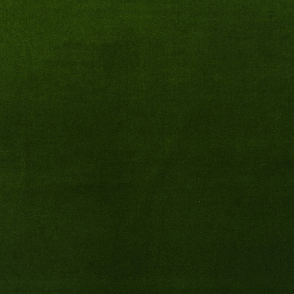 Medici fabric in ivy color - pattern number AM100443.3.0 - by Kravet Couture in the Andrew Martin Medici collection