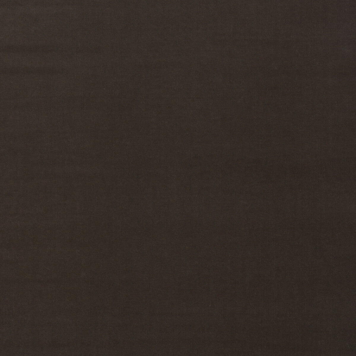 Medici fabric in taupe color - pattern number AM100443.611.0 - by Kravet Couture in the Andrew Martin Medici collection