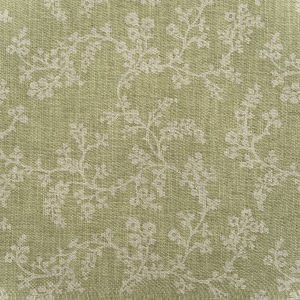 Vine fabric in fennel color - pattern number AM100451.123.0 - by Kravet Couture in the Andrew Martin Pavilion collection