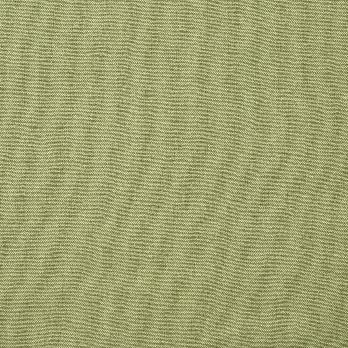 Rocco fabric in sage color - pattern number AM100452.123.0 - by Kravet Couture in the Andrew Martin Rocco collection