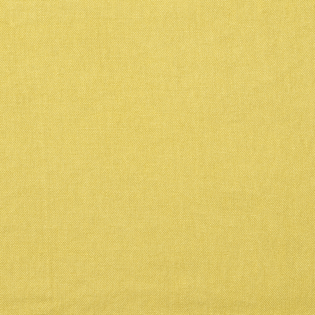 Rocco fabric in citrine color - pattern number AM100452.314.0 - by Kravet Couture in the Andrew Martin Rocco collection