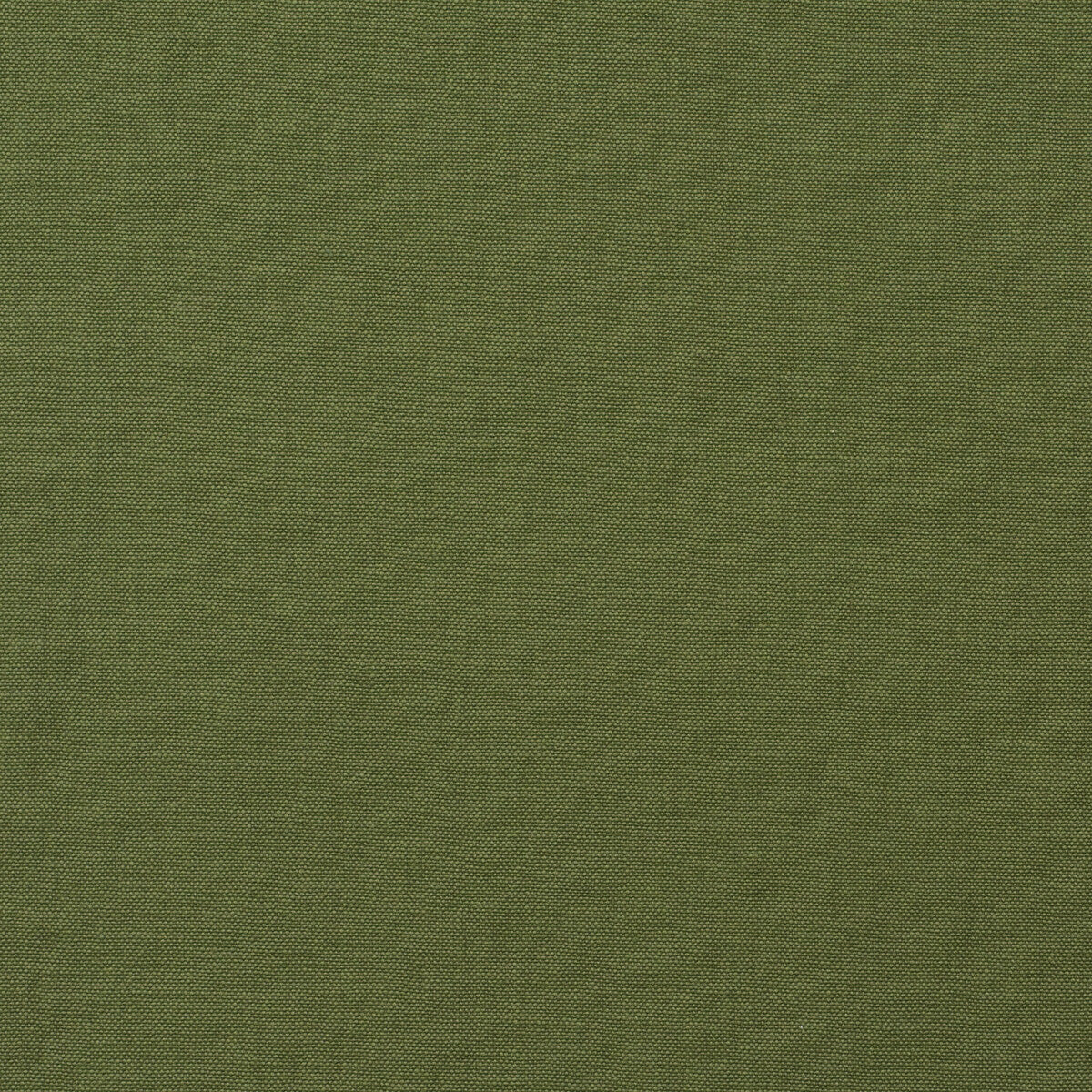 Rocco fabric in leaf color - pattern number AM100452.3.0 - by Kravet Couture in the Andrew Martin Rocco collection