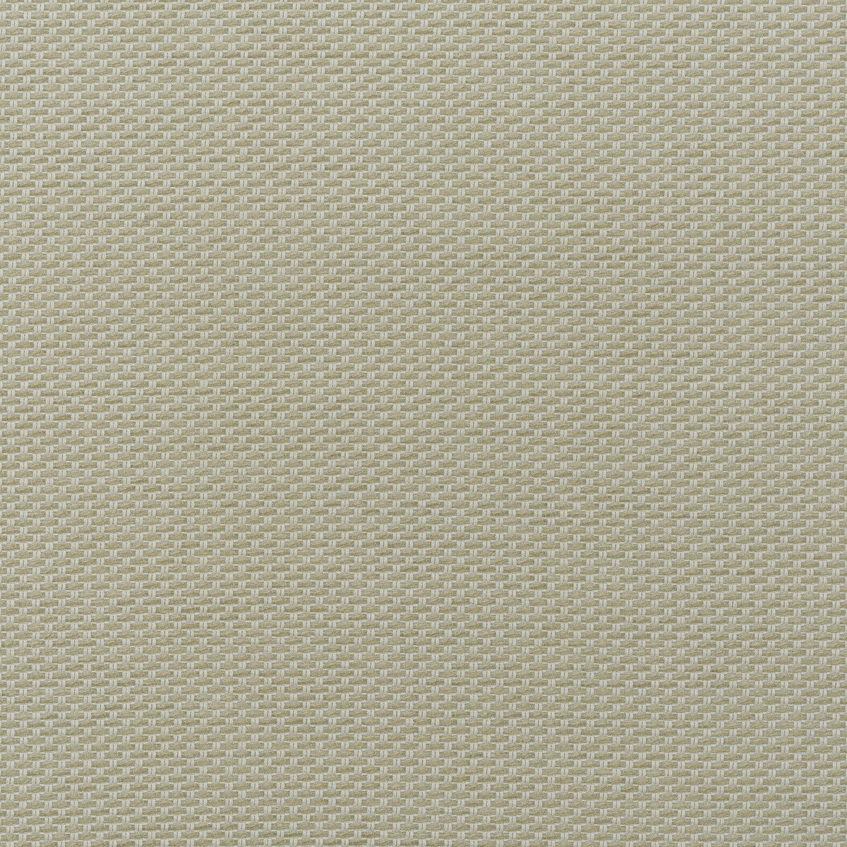 Taormina fabric in stone color - pattern number AM100477.16.0 - by Kravet Couture in the Andrew Martin Veneto collection