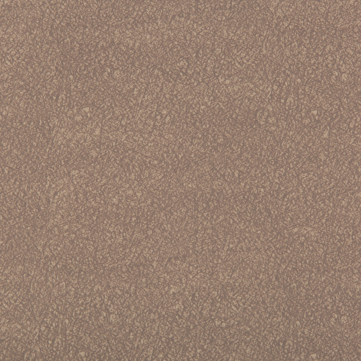 Ames fabric in quartz color - pattern AMES.106.0 - by Kravet Contract