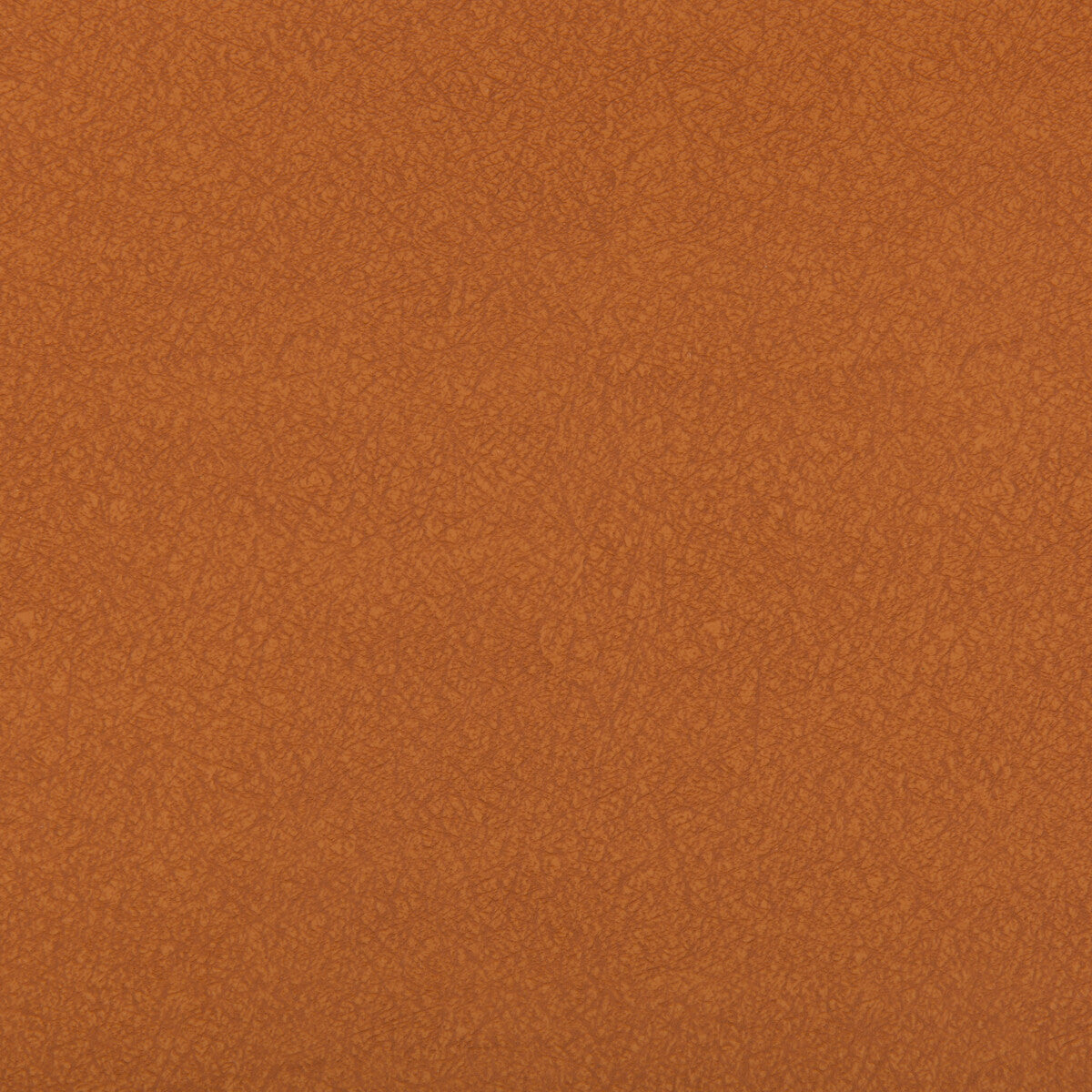 Ames fabric in canyon color - pattern AMES.24.0 - by Kravet Contract