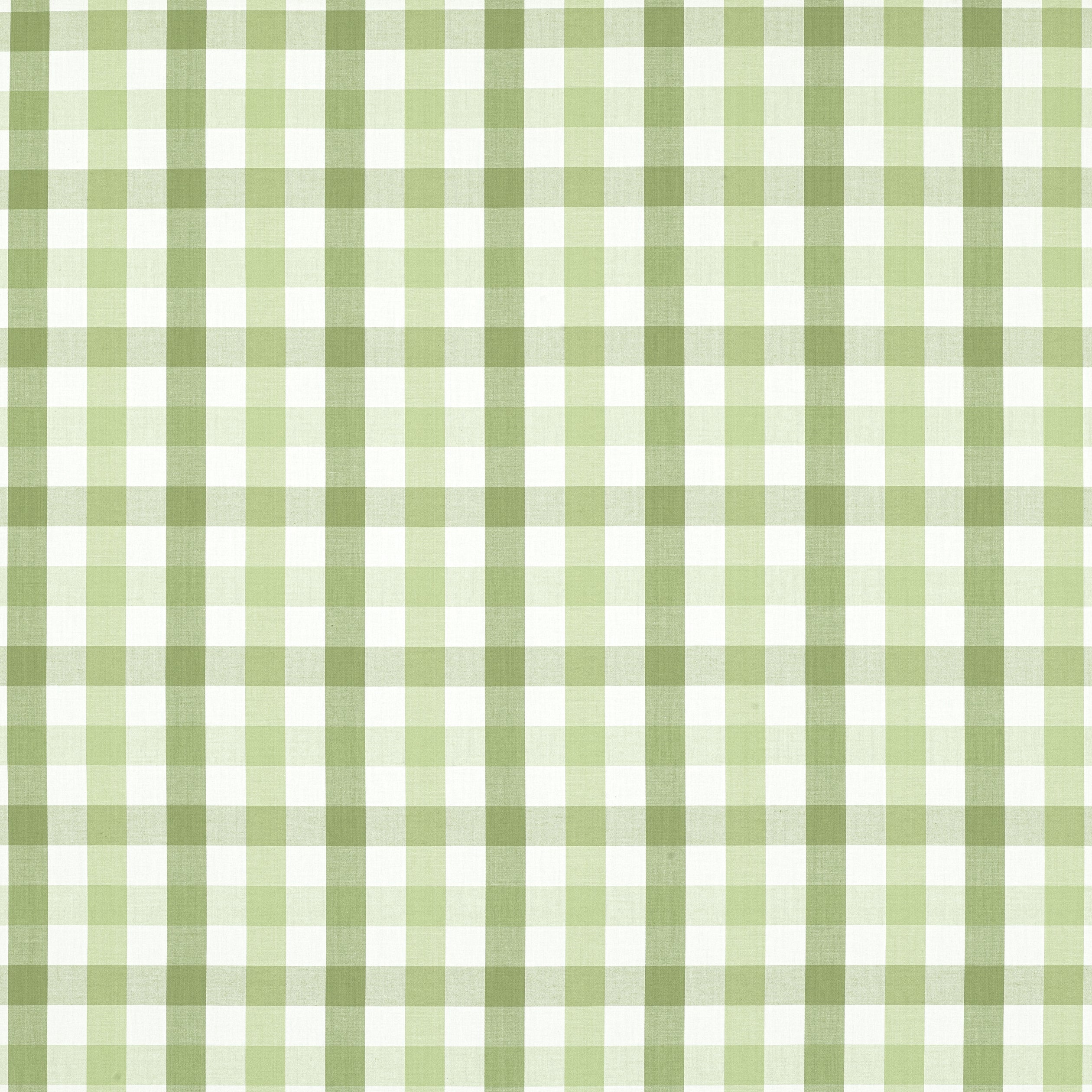 Saybrook Check fabric in green color - pattern number AW15145 - by Anna French in the Antilles collection