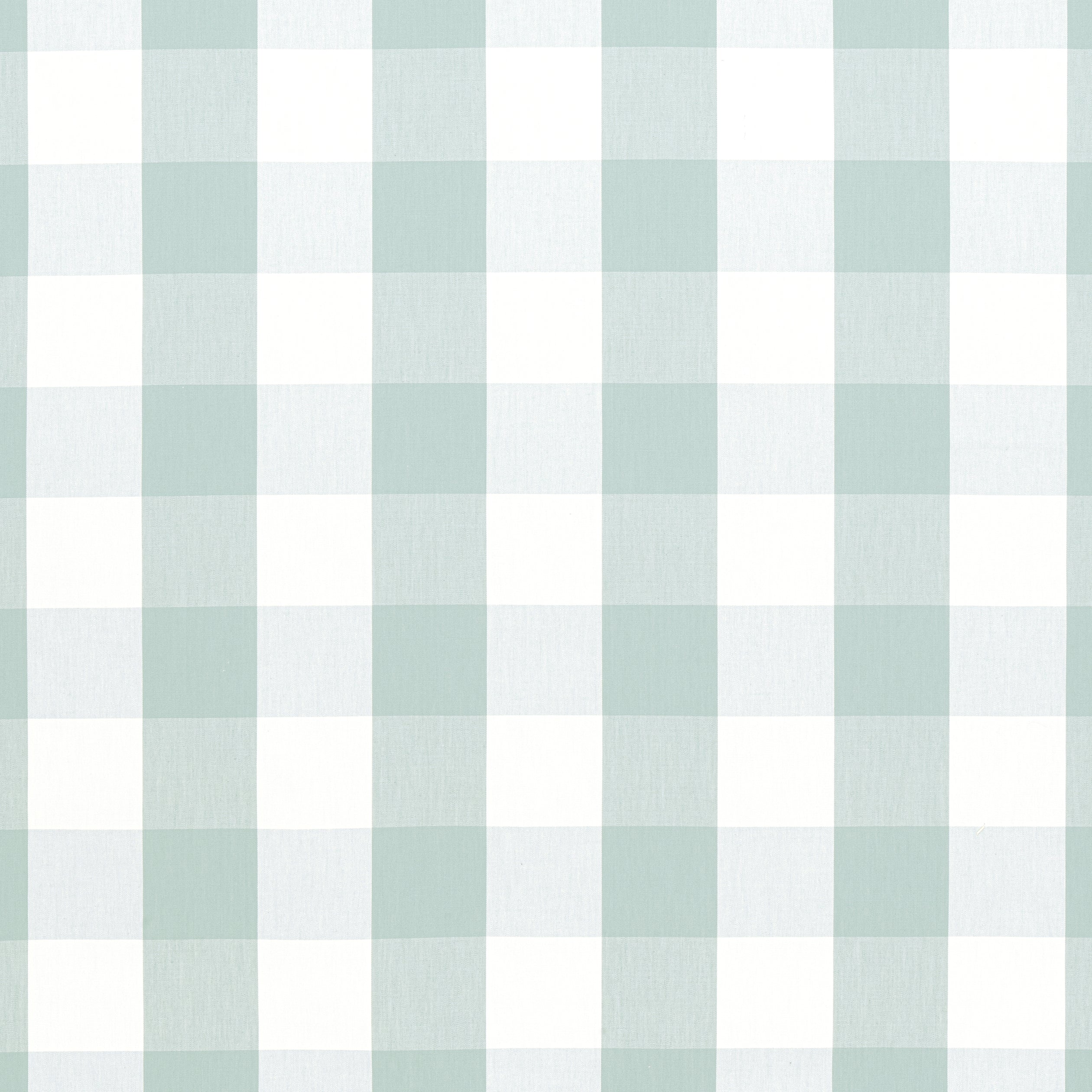 Hammond Check fabric in Robin&