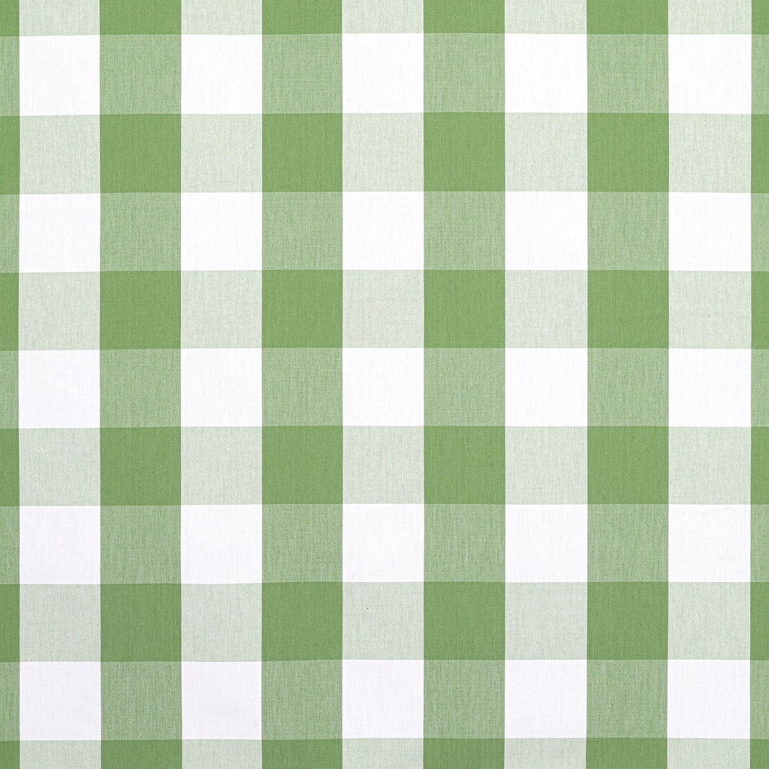 Hammond Check fabric in Kelly color - pattern number AW24507 - by Anna French in the Devon collection