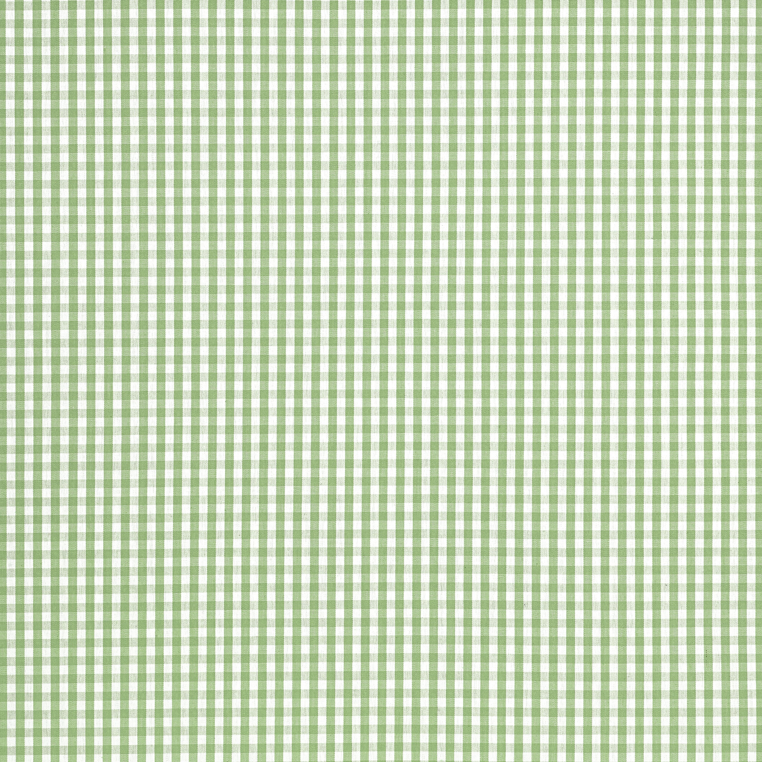 Leighton Check fabric in Kelly color - pattern number AW24516 - by Anna French in the Devon collection