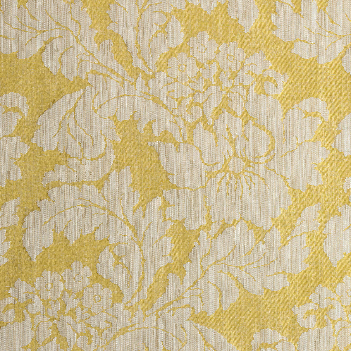 Caserta Damask fabric in yellow color - pattern number AW72981 - by Anna French in the Manor collection