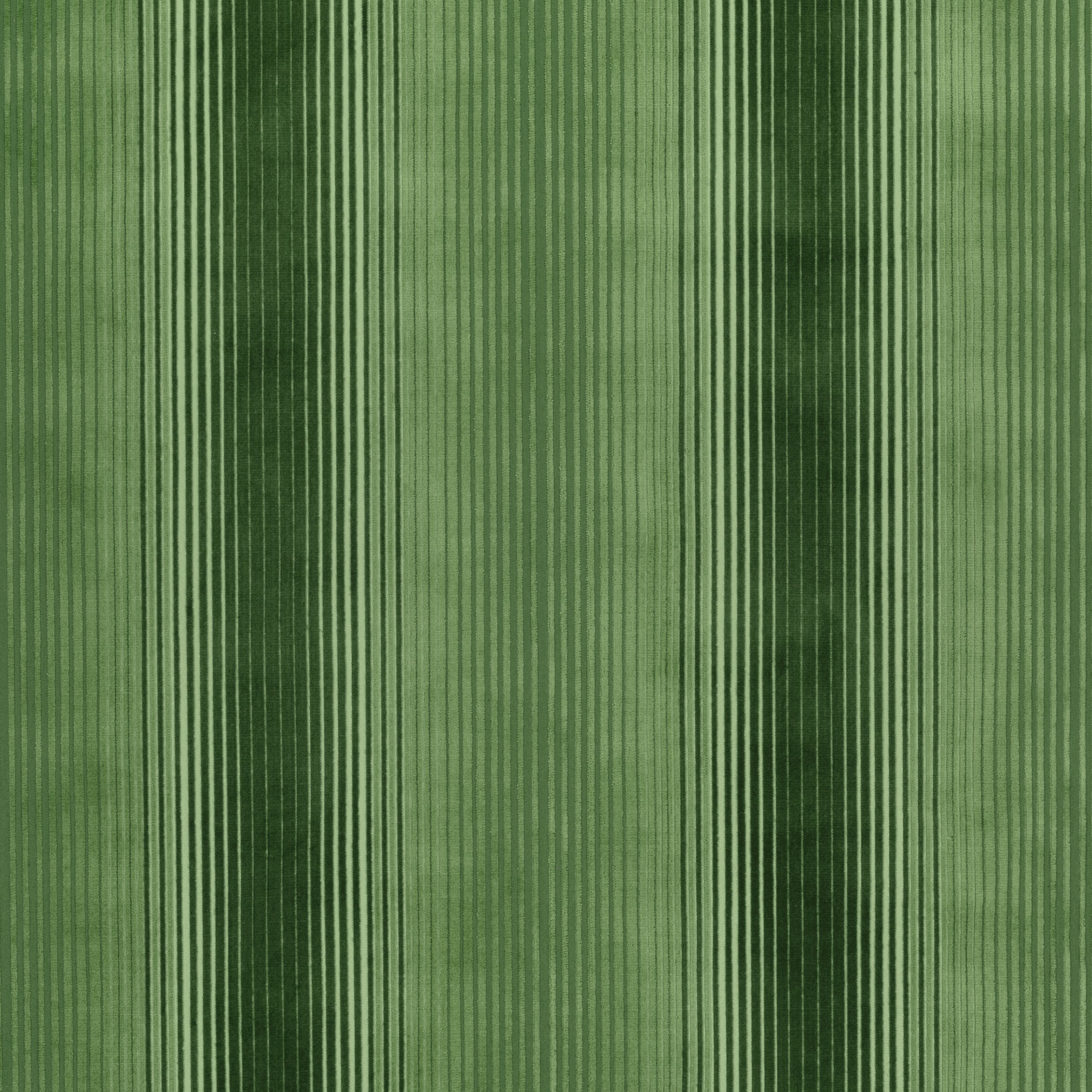 Ombre Velvet fabric in green color - pattern number AW9670 - by Anna French in the Savoy collection