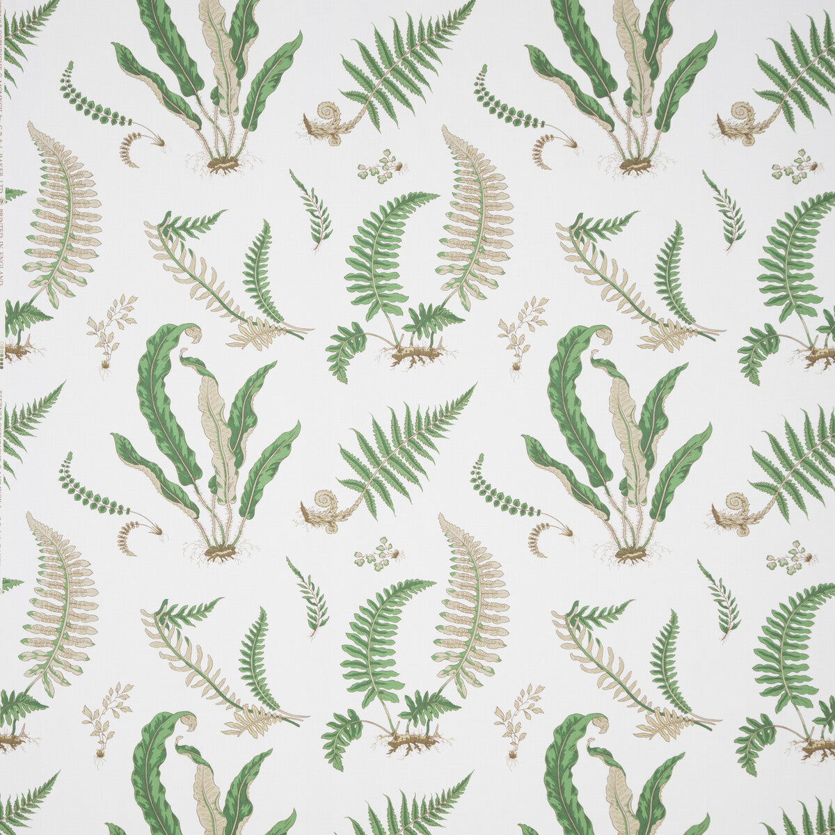 Ferns Print fabric in snow color - pattern B0860.1.0 - by G P & J Baker in the Perennia collection
