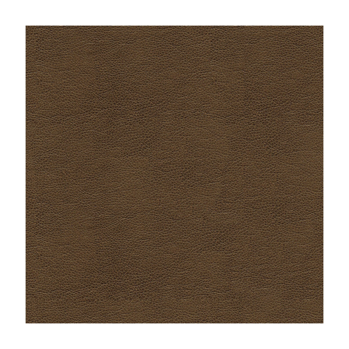 Kravet Contract fabric in balara-2121 color - pattern BALARA.2121.0 - by Kravet Contract