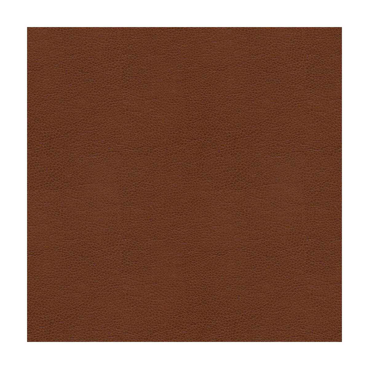 Kravet Contract fabric in balara-6 color - pattern BALARA.6.0 - by Kravet Contract