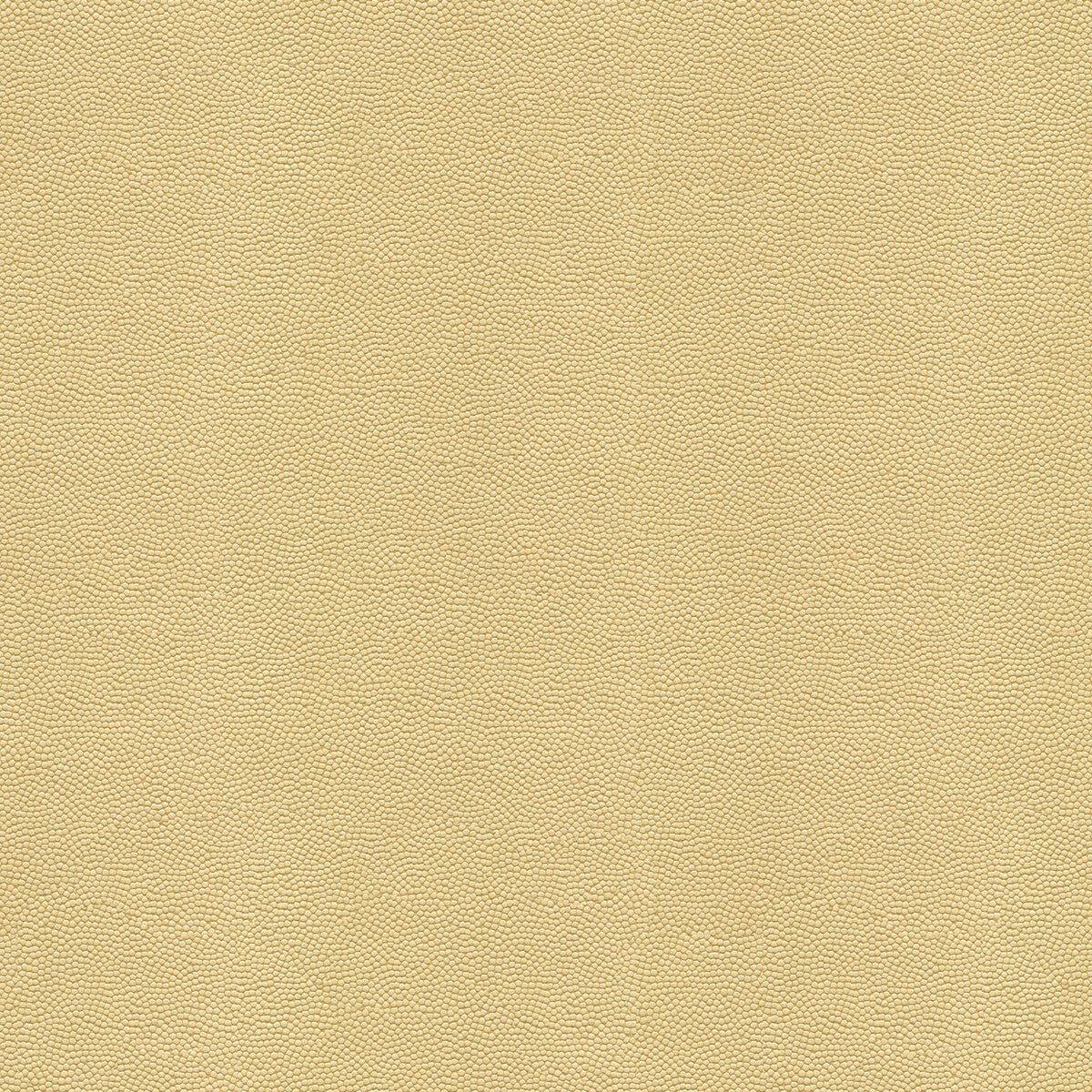 Beautymark fabric in sand color - pattern BEAUTYMARK.1116.0 - by Kravet Couture