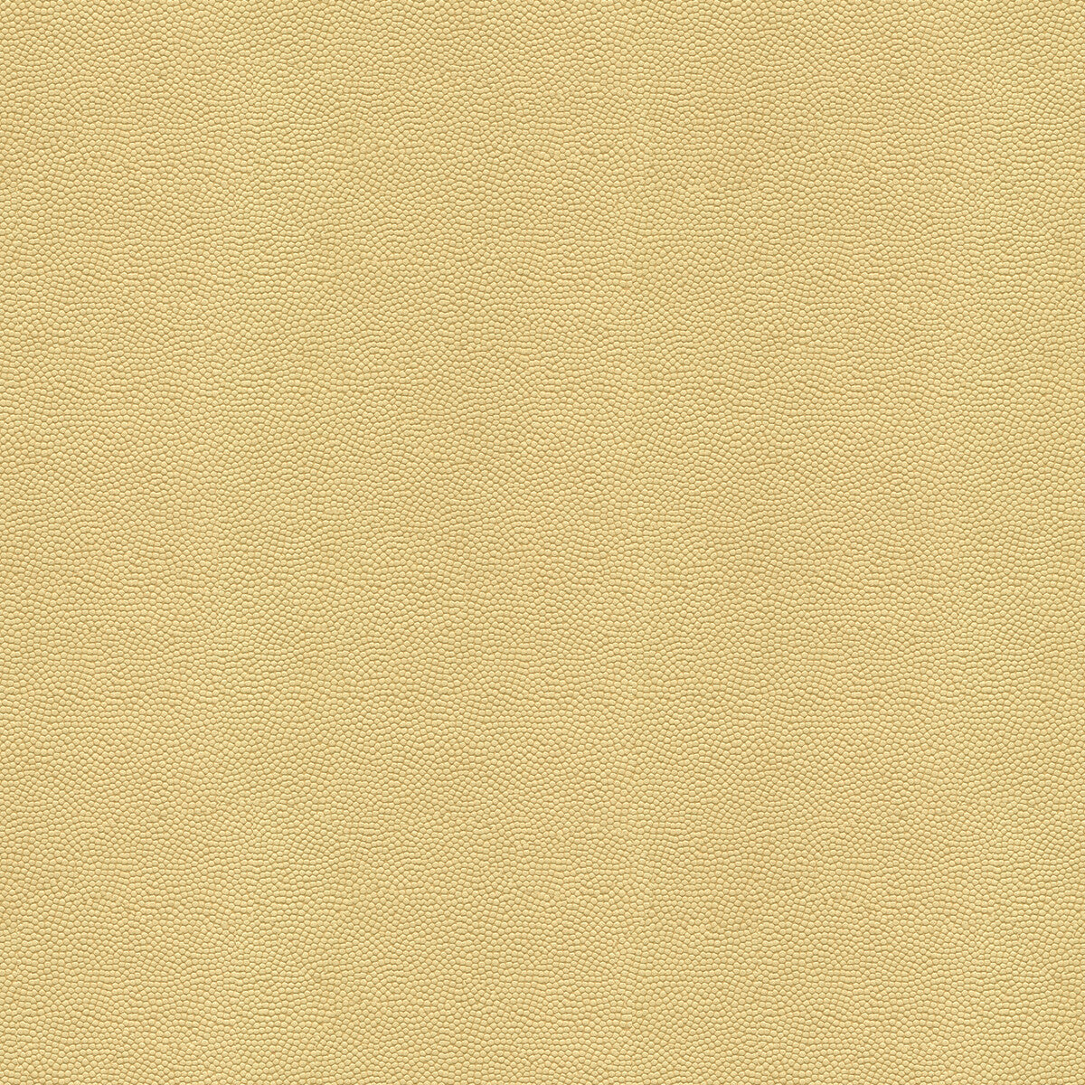Beautymark fabric in fog color - pattern BEAUTYMARK.116.0 - by Kravet Couture