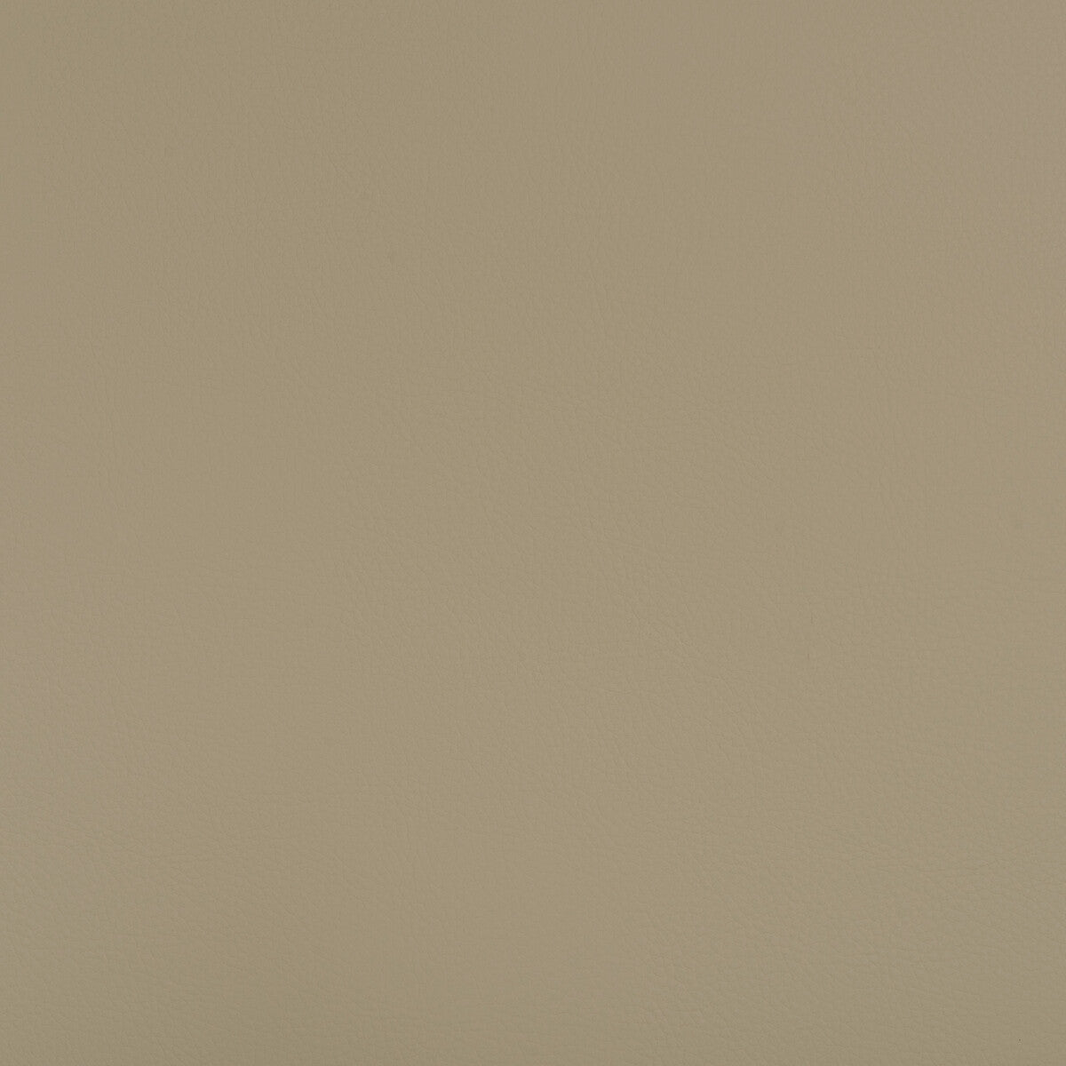 Beech fabric in beech-106 color - pattern number BEECH.106.0 - by Kravet Design in the Faux Leather IV collection