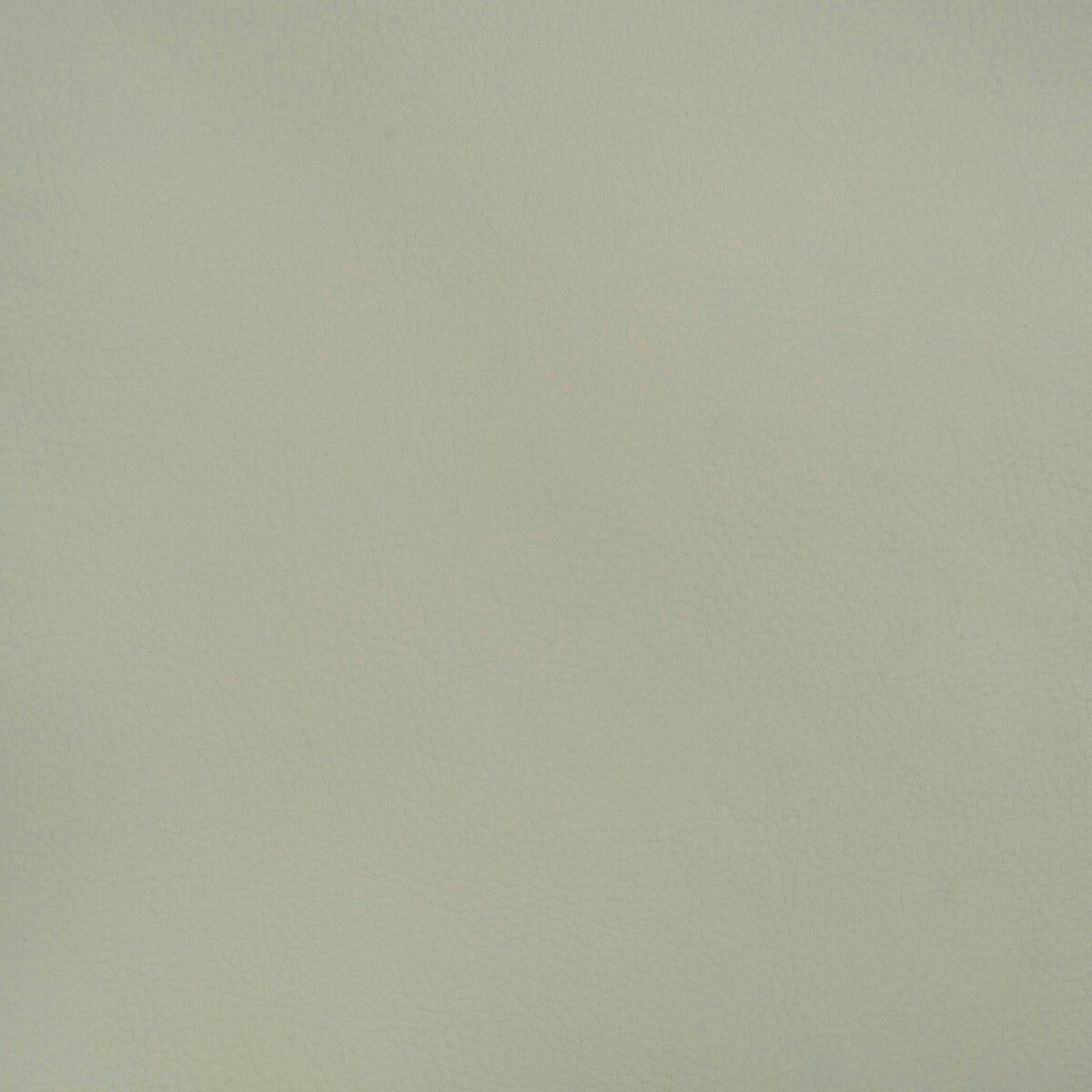 Beech fabric in beech-1511 color - pattern number BEECH.1511.0 - by Kravet Design in the Faux Leather IV collection