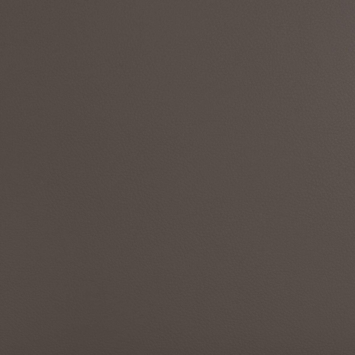 Beech fabric in beech-21 color - pattern number BEECH.21.0 - by Kravet Design in the Faux Leather IV collection