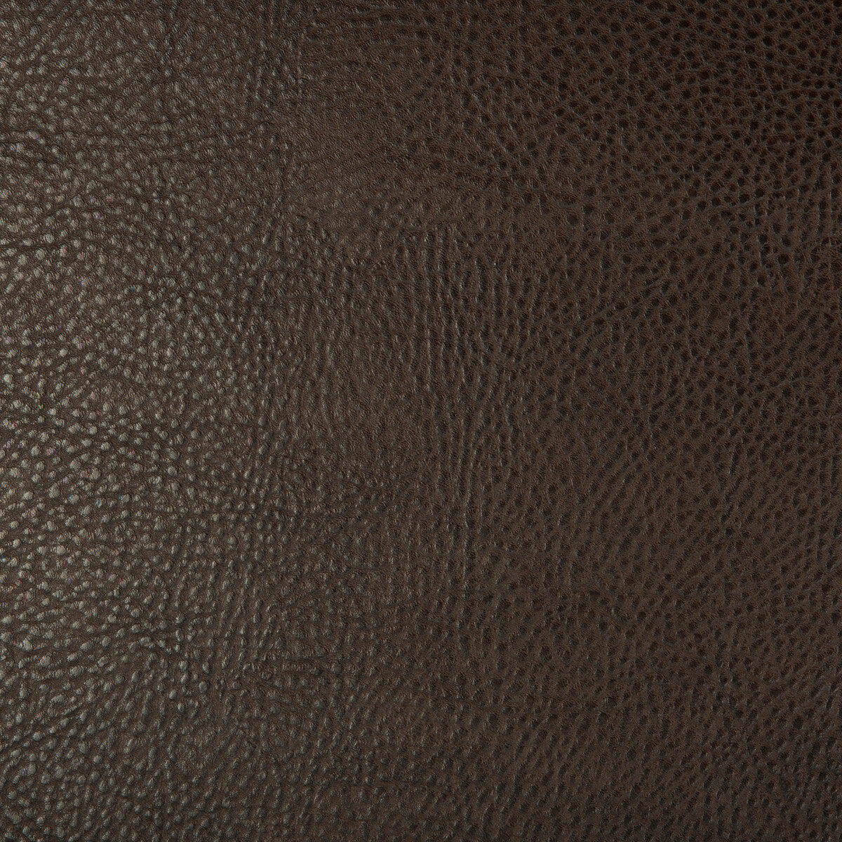 Kravet Design fabric in beholder-6 color - pattern BEHOLDER.6.0 - by Kravet Design