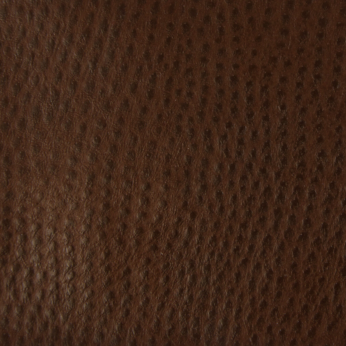 Kravet Contract fabric in belus-6 color - pattern BELUS.6.0 - by Kravet Contract