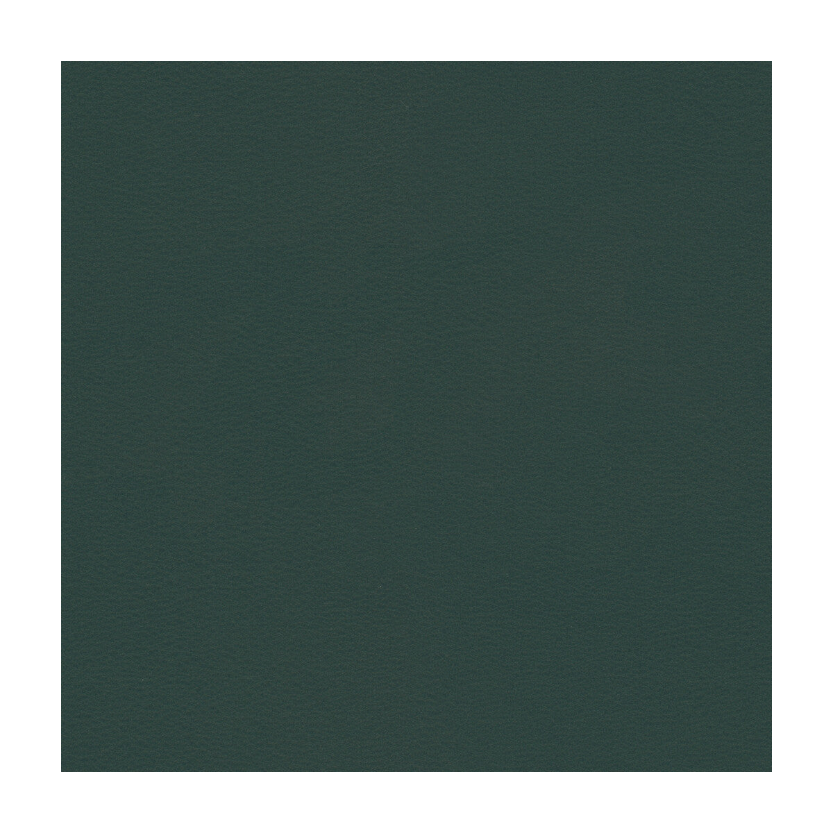 Kravet Contract fabric in berta-5 color - pattern BERTA.5.0 - by Kravet Contract