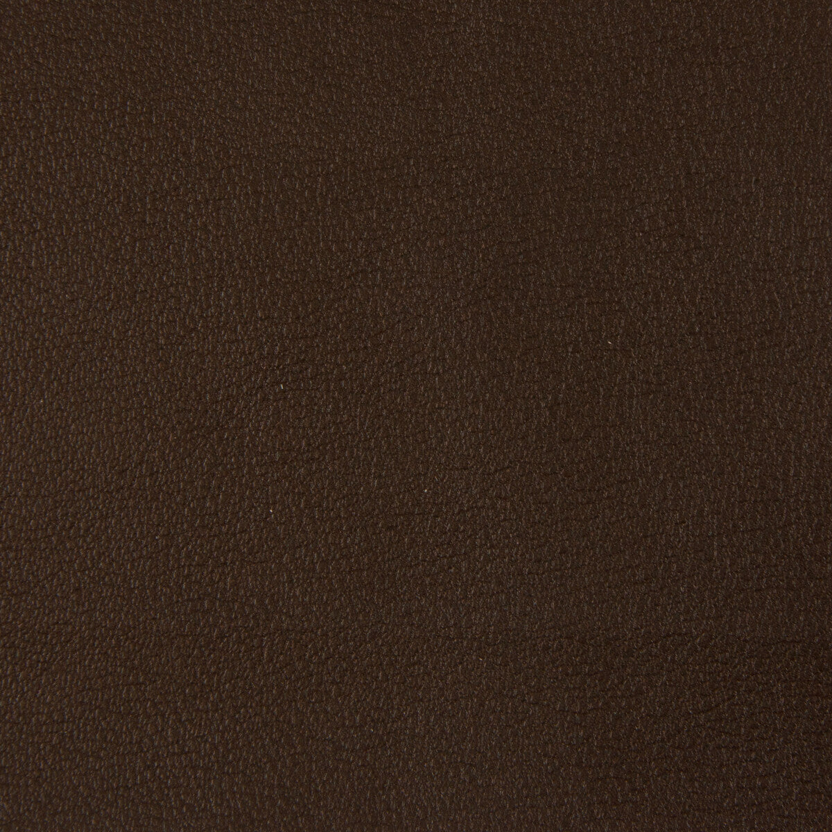 Kravet Contract fabric in berta-66 color - pattern BERTA.66.0 - by Kravet Contract