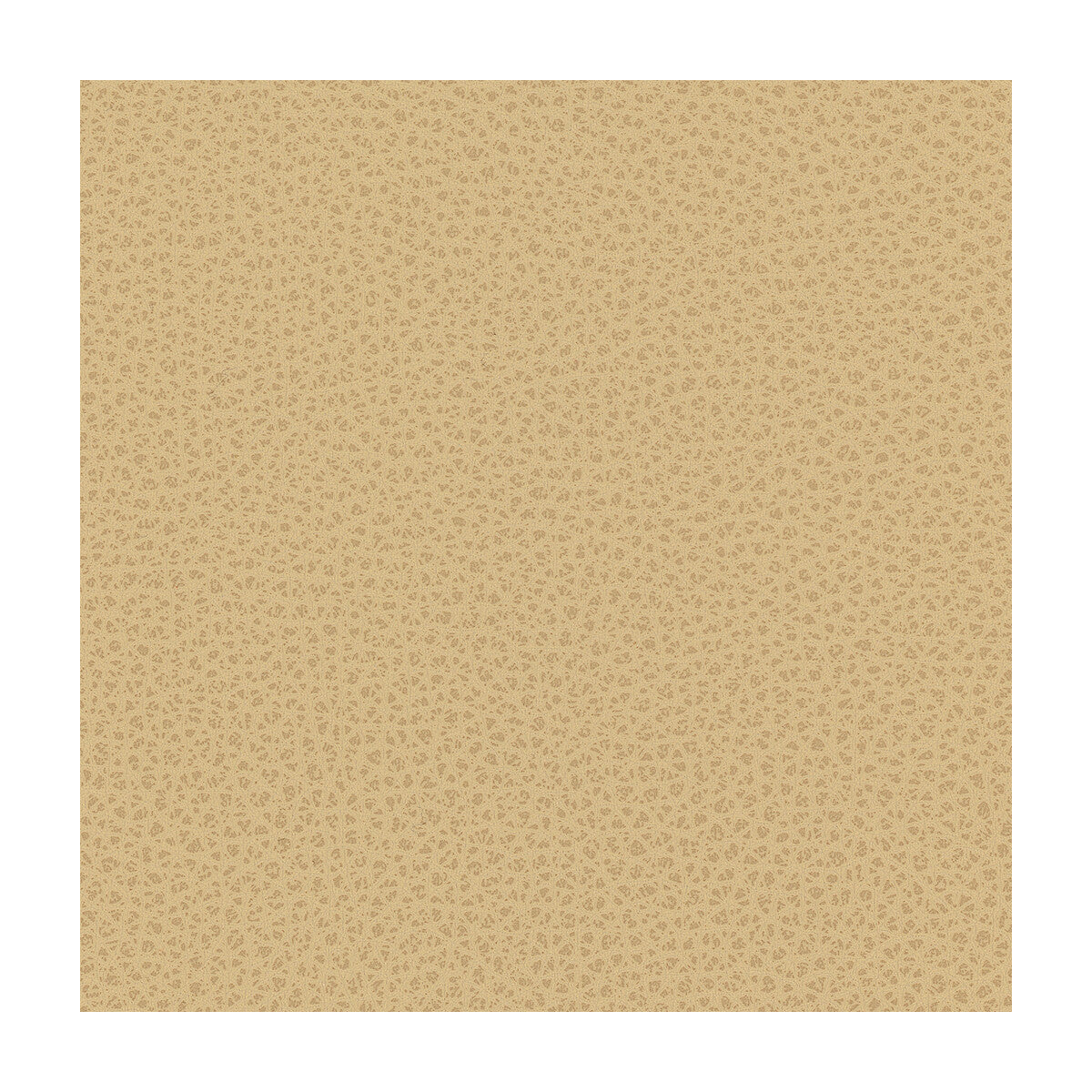 Kravet Contract fabric in bess-16 color - pattern BESS.16.0 - by Kravet Contract
