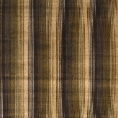 Camden fabric in coffee color - pattern BF10338.215.0 - by G P &amp; J Baker in the Threads Spring 2008 collection