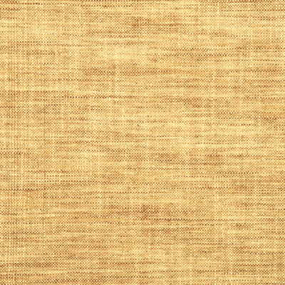 Linden fabric in champagne color - pattern BF10471.125.0 - by G P & J Baker in the Simply Colours collection