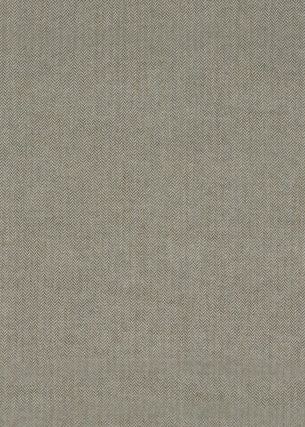 Trevone fabric in mineral color - pattern BF10609.705.0 - by G P & J Baker in the Cosmopolitan collection