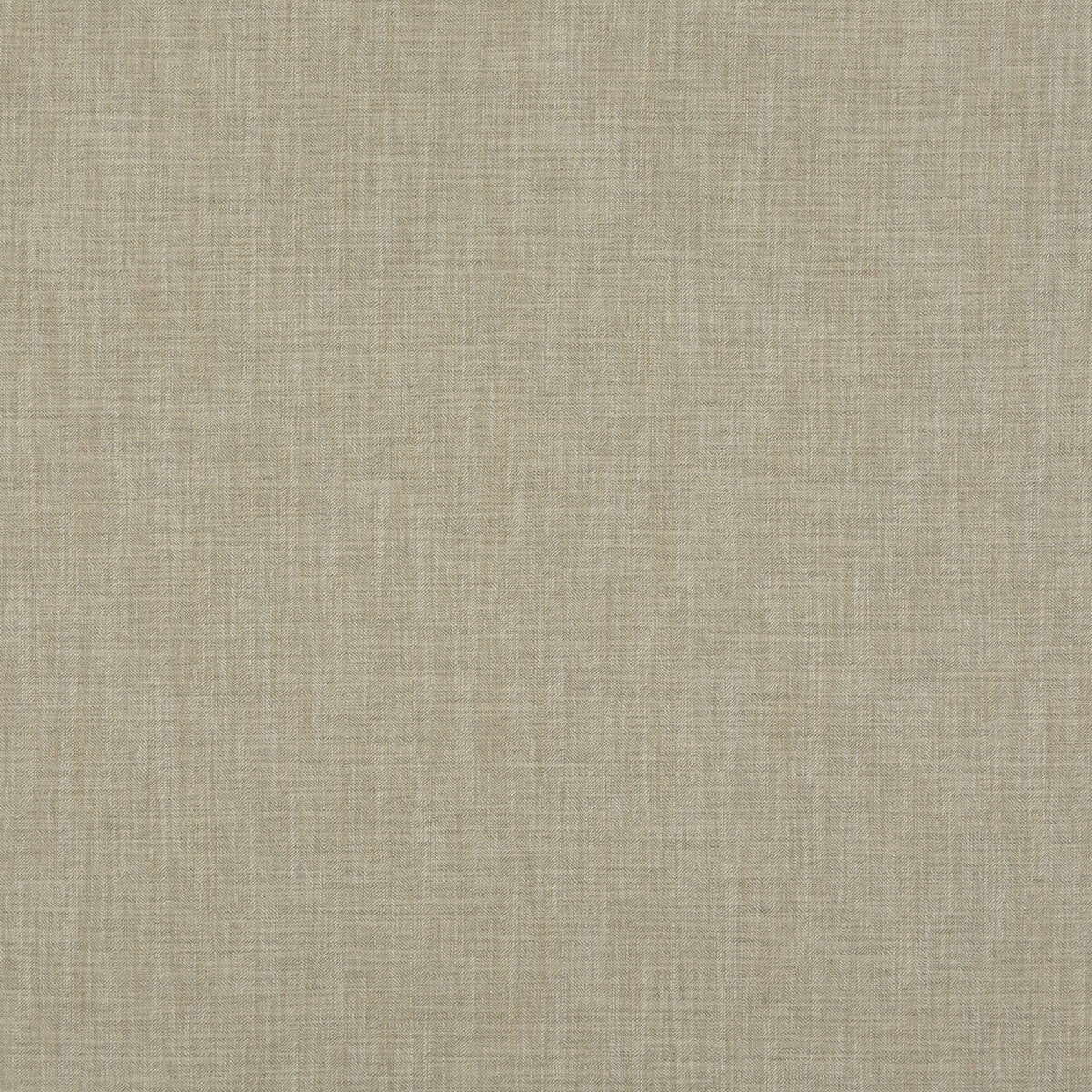 Canyon fabric in sage color - pattern BF10680.790.0 - by G P & J Baker in the Essential Colours collection