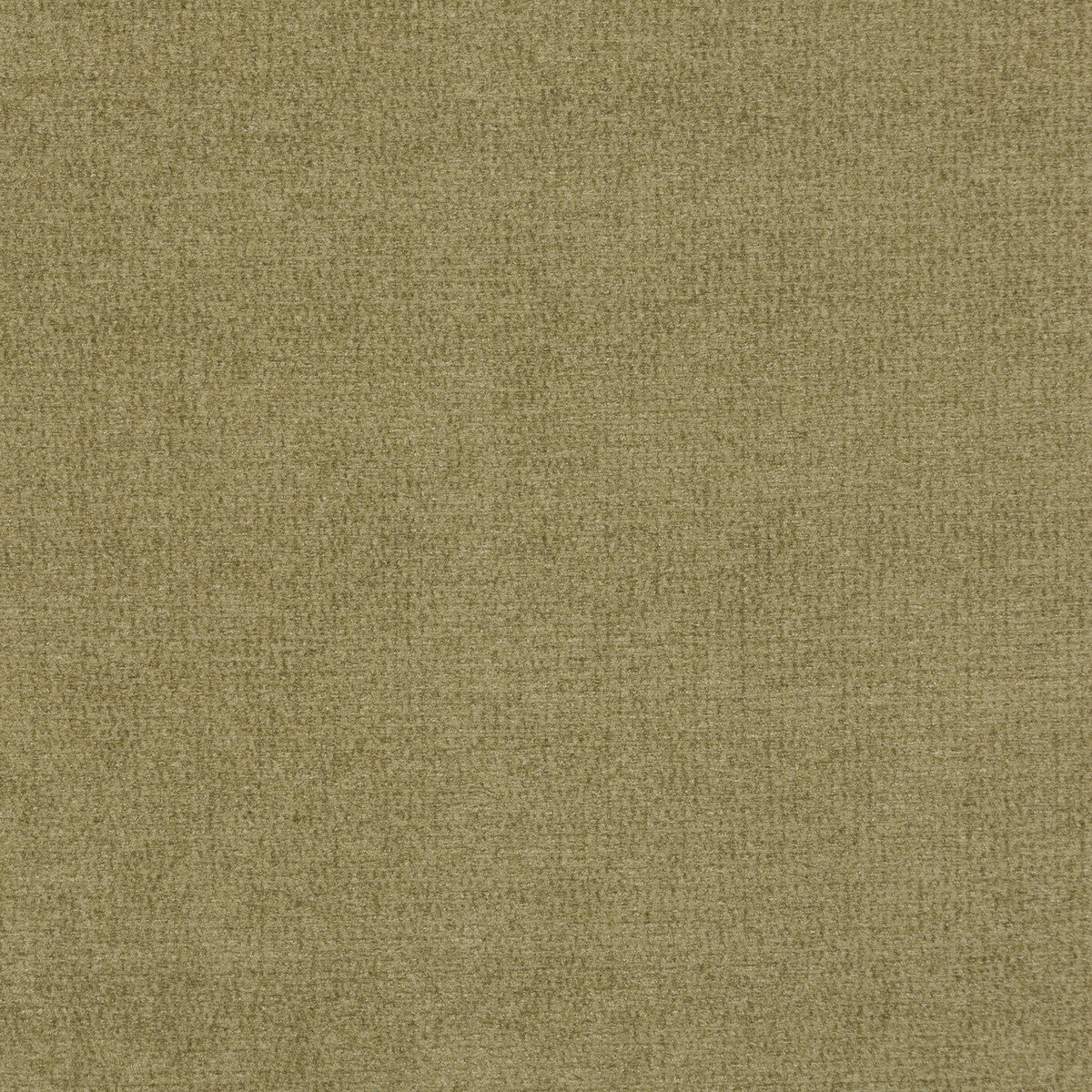 Matrix fabric in sage color - pattern BF10686.790.0 - by G P & J Baker in the Essential Colours collection